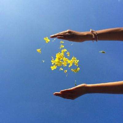 ag入口官网登录