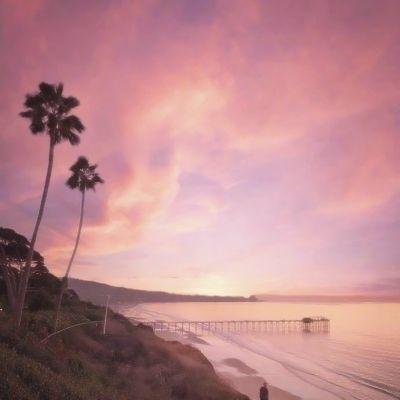 亚博网APP最新版本手机版