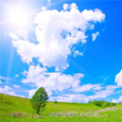 押注篮球的app下载手机版