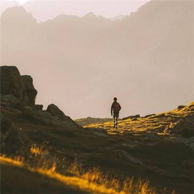 AOA体育官方入口