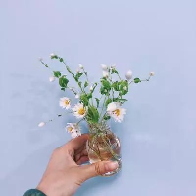 易火棋牌下载手机版