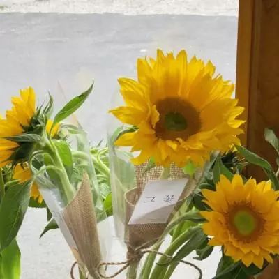 pg电子娱乐平台手机app下载