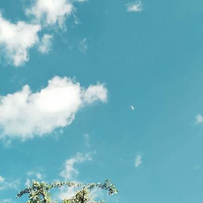 大发棋牌方网址入口